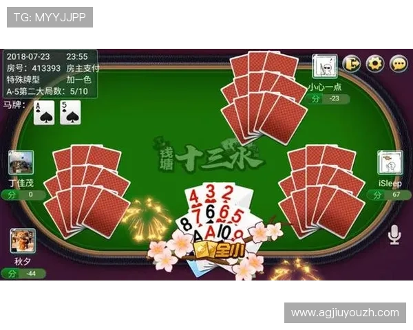 深入理解十三水规则中的特殊牌型与玩法技巧，提升你的游戏水平